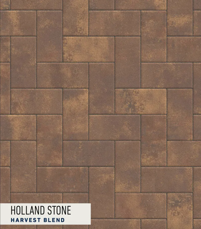 Holland Stone Harvest Blend paver swatch